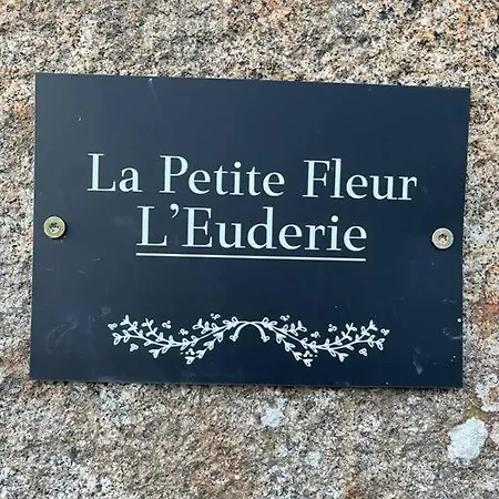 Le Petit Fleur - The Little Flower, Cosy Cottage Saint-Michel-de-Montjoie Exterior photo