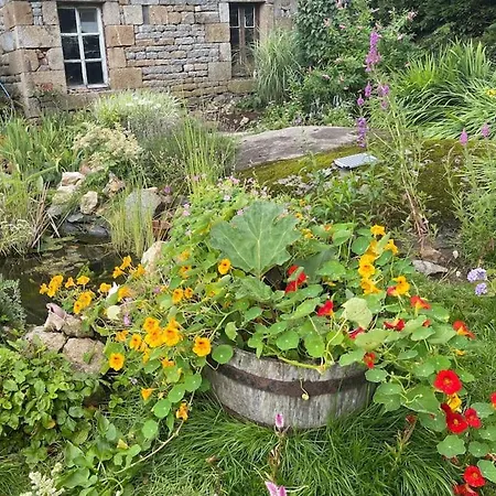 Le Petit Fleur - The Little Flower, Cosy Cottage Saint-Michel-de-Montjoie Exterior photo