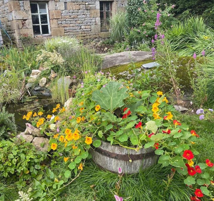 Le Petit Fleur - The Little Flower, Cosy Ferienhaus