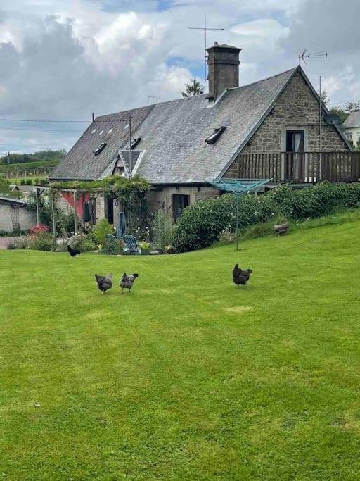 Le Petit Fleur - The Little Flower, Cosy Ferienhaus *